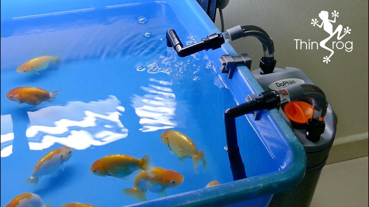 2 Stück Luftpumpe Keil Up Bag mit einem Keilausrichtungs-Werkzeug für Zuhause Türfenster-Installation und Auto Shineus Luftkeil-Pumpenkeil 2 Stück Luftpumpe Keil Up Bag mit einem Keilausrichtungs-Werkzeug für Zuhause Türfenster-Installation und Auto Shineus Luftkeil-Pumpenkeil